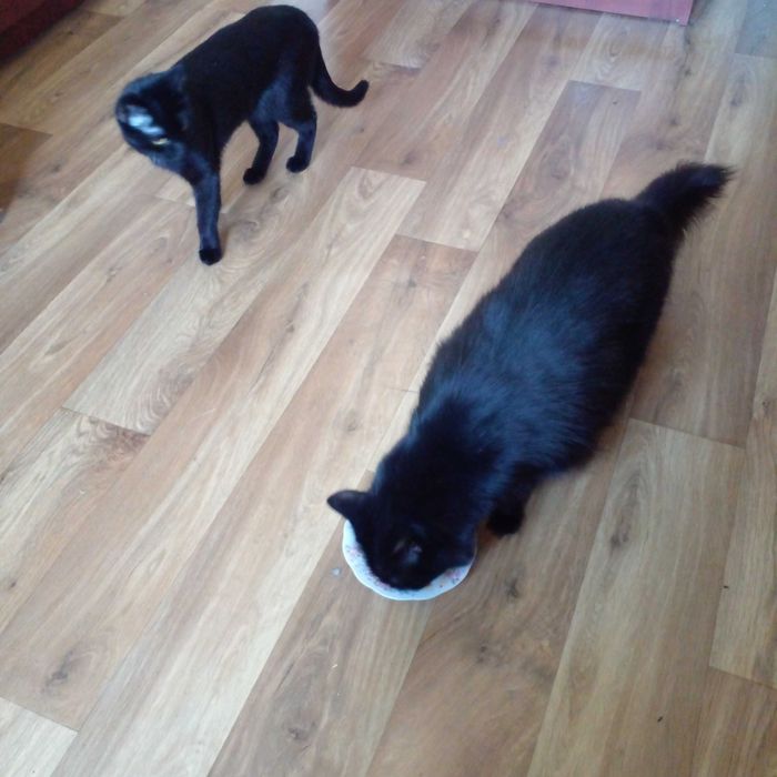 Помогите устроить