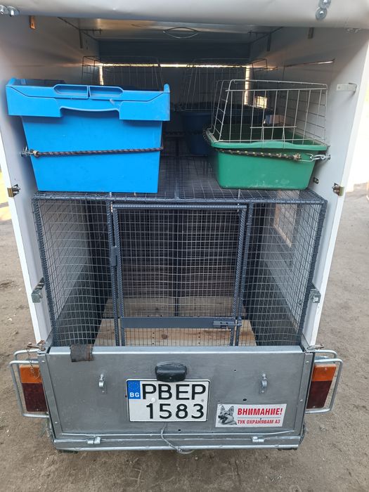 Превоз на домашни любимци в България