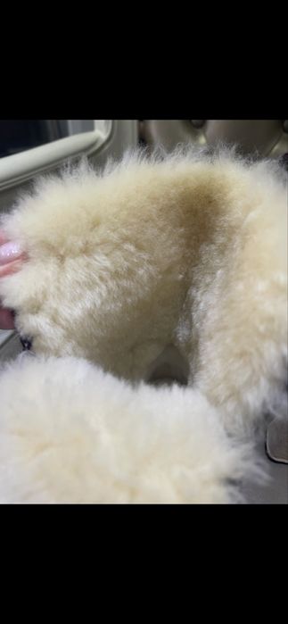 UGG originale noi 40