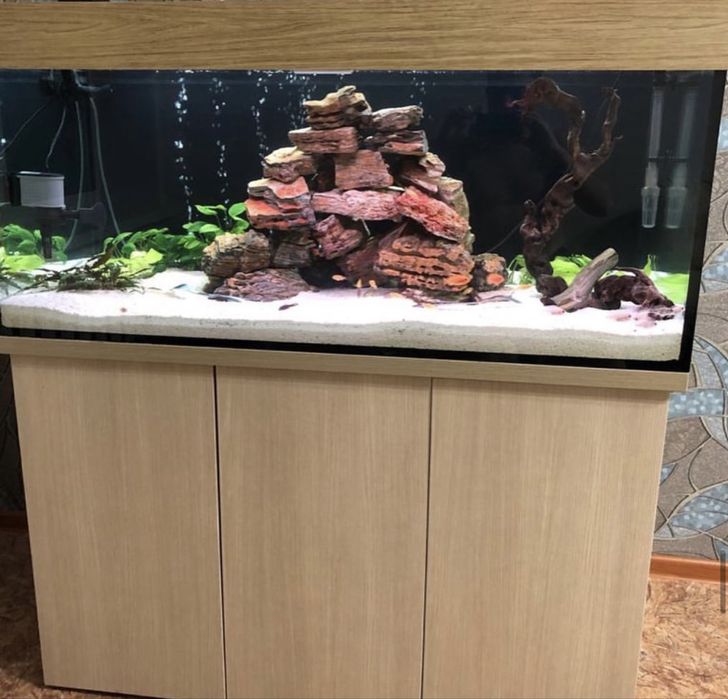 Элитные Аквариумы под заказ