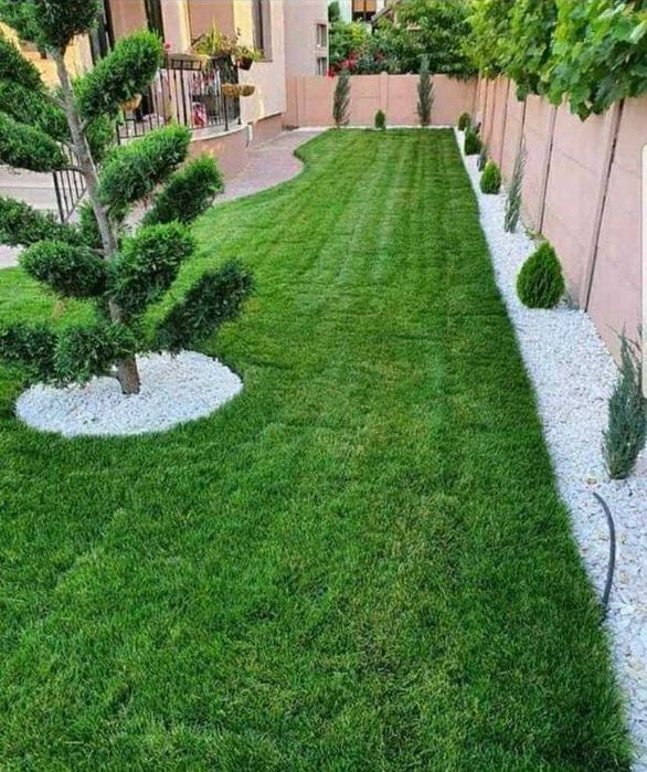 Gazon Si Plante ornamentale