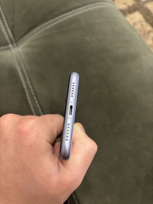 Аифон 11 в живом состоянии