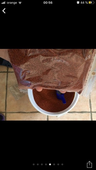 Hrana de calitate cu pigment . Tetra diskus