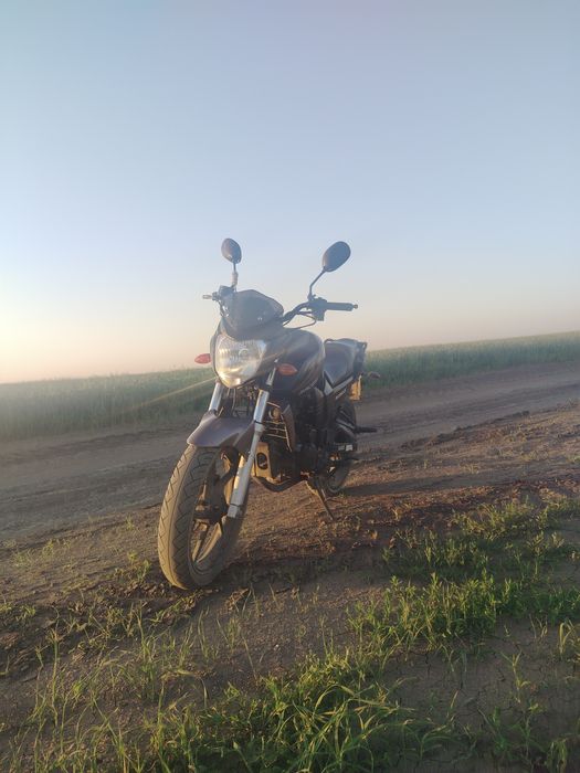 Racer Nitro RC250CK