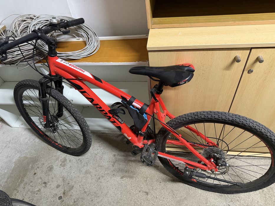 Bicicleta  adulti