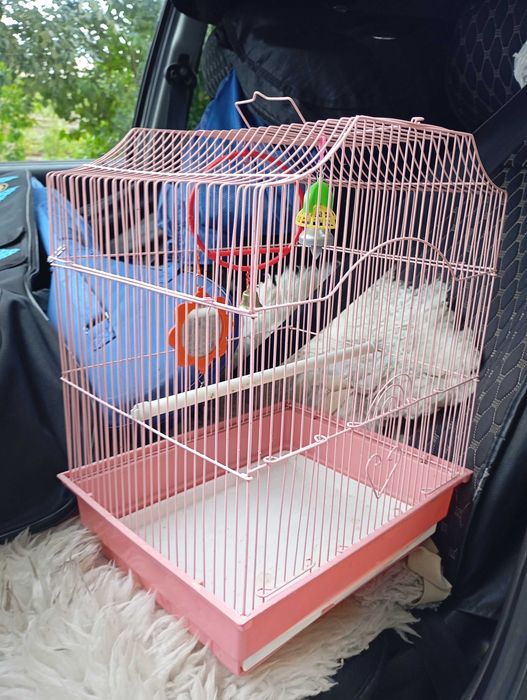 Клетка для попугаев и других птиц