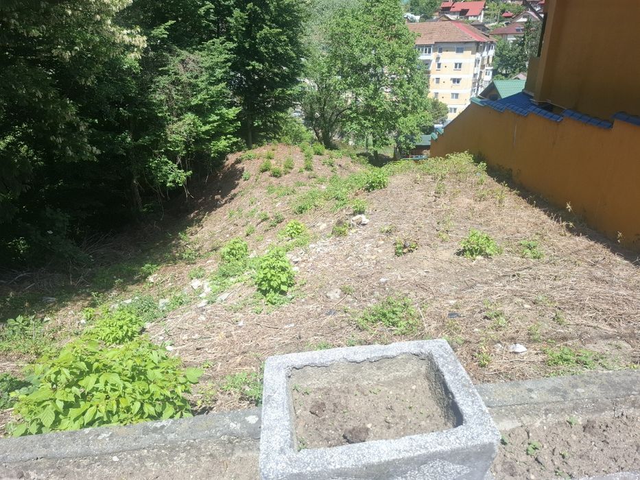 Teren de vanzare