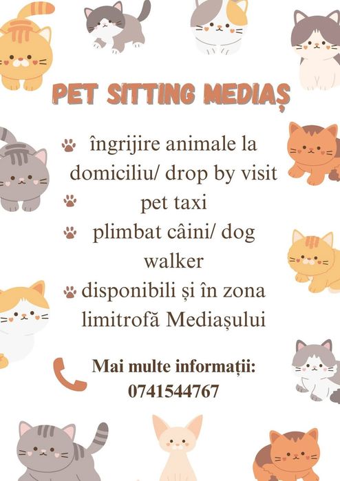 Pet Sitter /dog walker Medias (bonă pt animale)