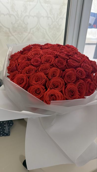 Роза 51шт свежий
