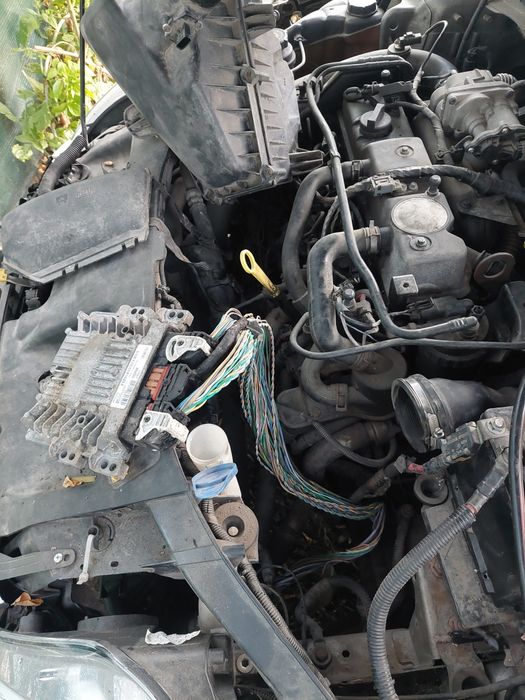Electrician Auto cu experienta de peste 15 ani Diagnoza Auto Soft