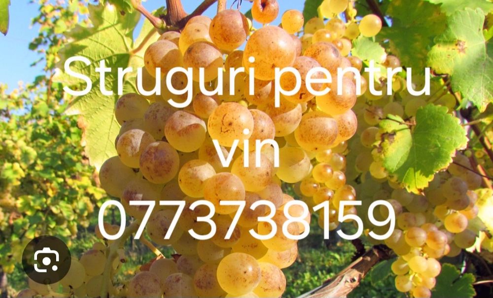 Struguri de vanzare
