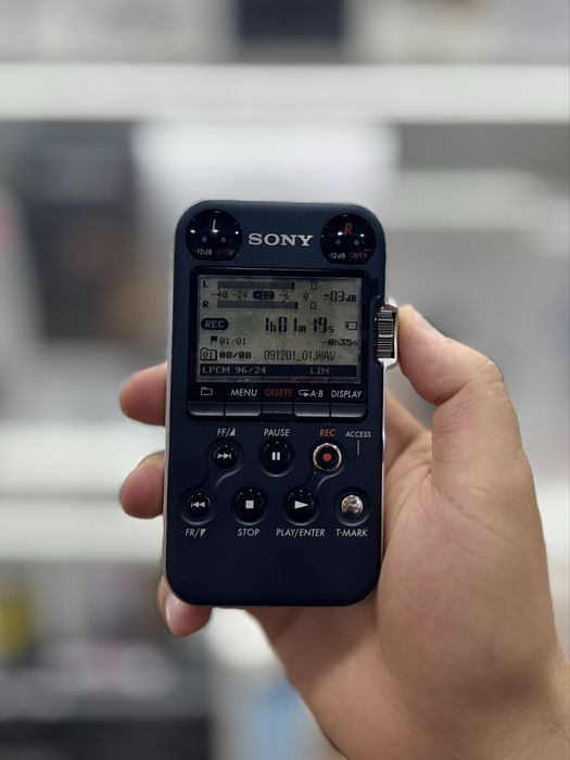 Sony pcm-m10