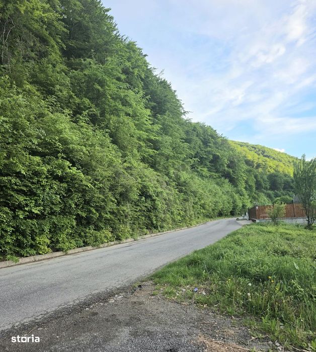 Teren intravilan intre case în Bunloc, lângă pădure – 604 mp