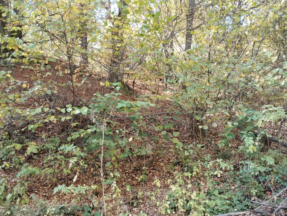 Продава се Земеделски имот в с. Дедово, Област Пловдив -  кв.м за 12 €/дка - Снимка #2