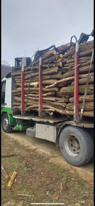 Volvo fh 12 cu macara forestiera si remorca