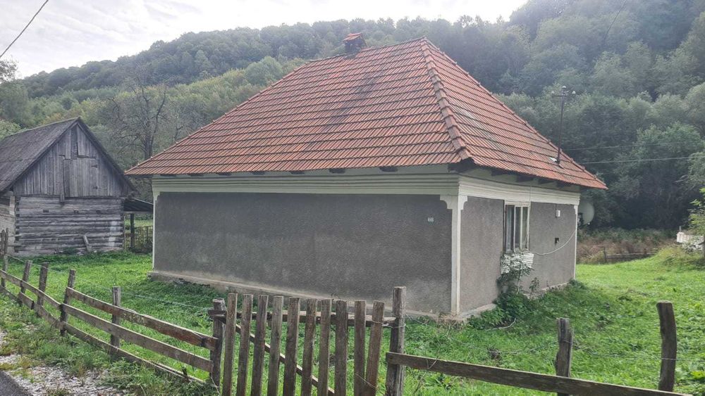 Vand proprietate pe Transapuseana