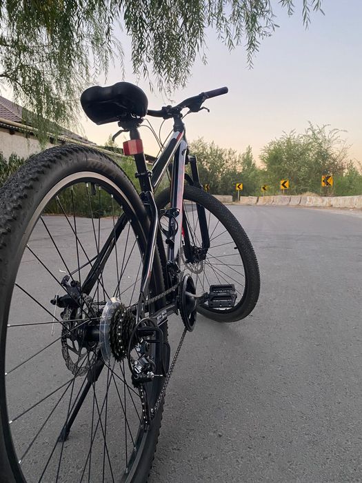 Велик Алматы очень отлично