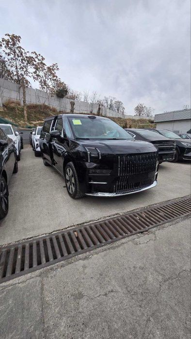 ZEEKR 009 miniven KIA, Voyah, BYD o'rniga