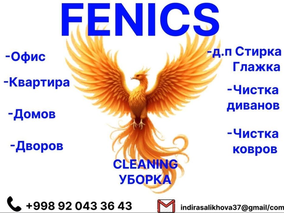 Fenics cleaning уборка
