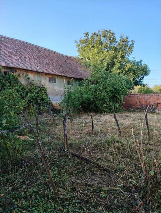 Teren 1000 mp + Casă batraneasca in Pădureni, 15 min Timișoara