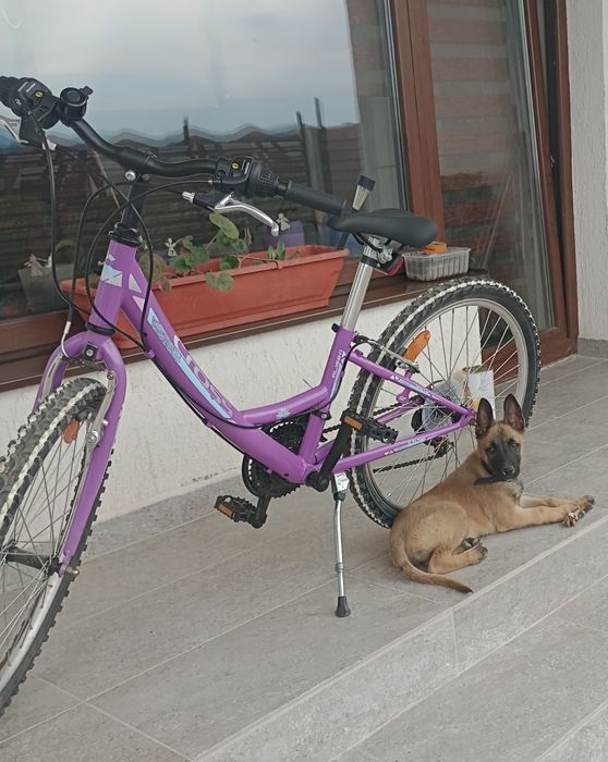 Bicicleta copii 8-10 ani