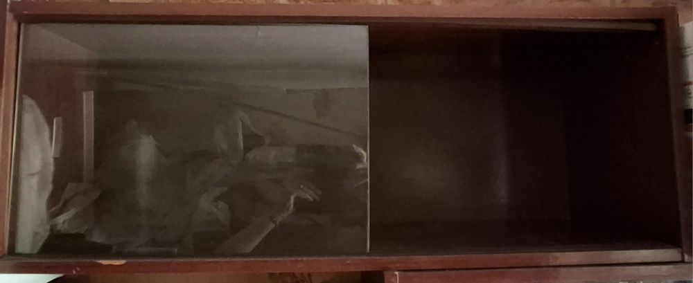 Полки  настенные