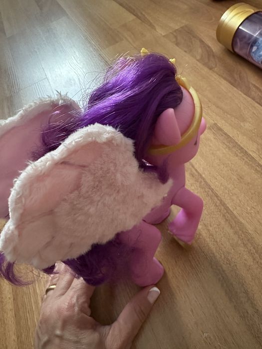 Poney cu microfon care canta