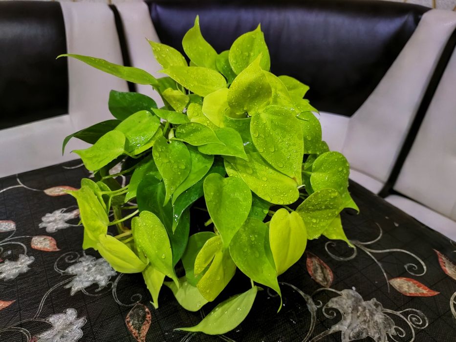 Подарки для близких. Доставка