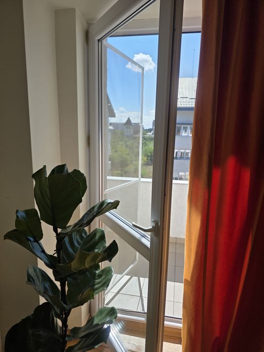 Apartament Zamca