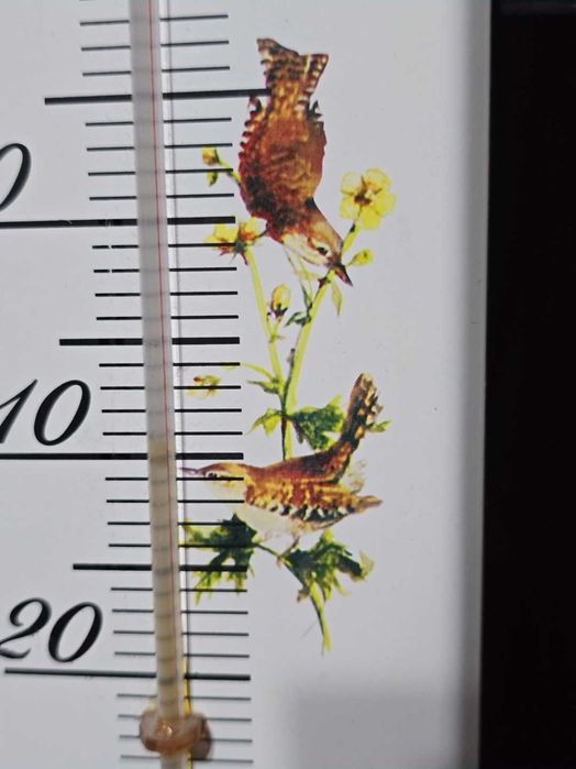 Termometru camera copii