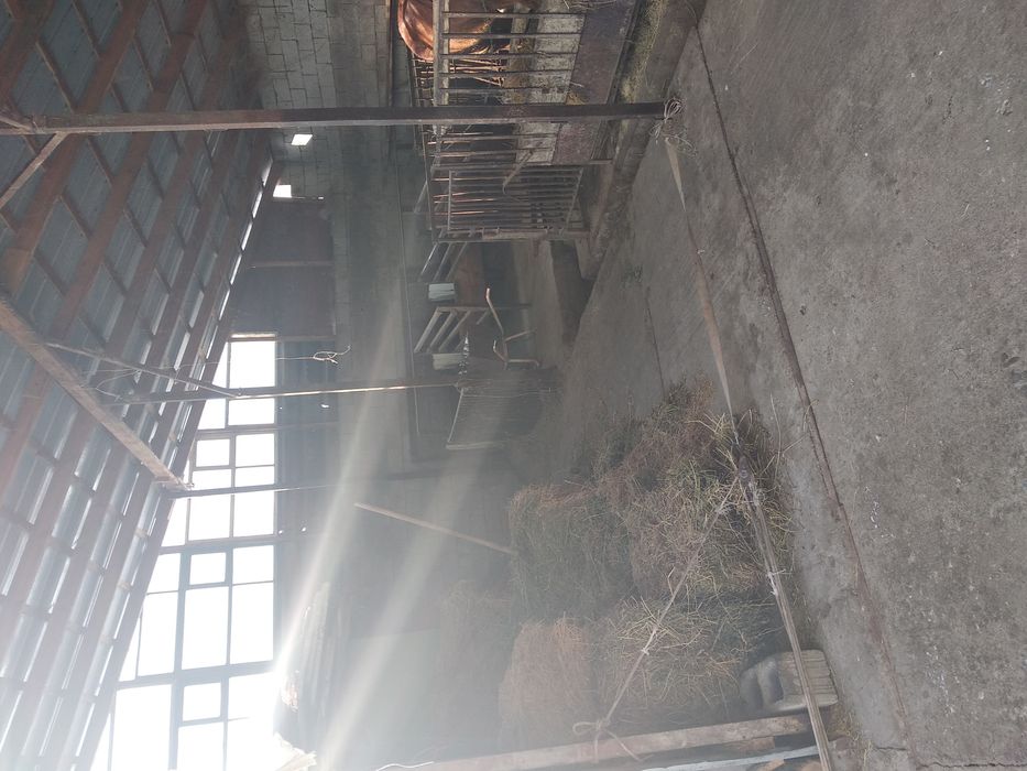 Продам дом. Продам дом