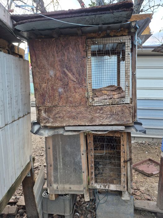 Cuști iepuri/pui gaina