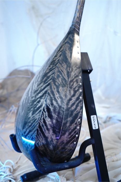 Домбыра бұйра қайың ағашынан