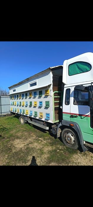 Camion apicol de vânzare