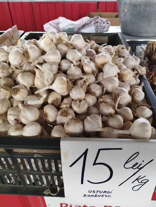 Usturoi românesc de primăvară