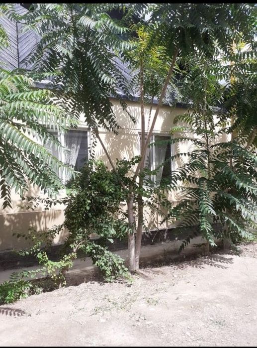 Үй сатылады орталықта