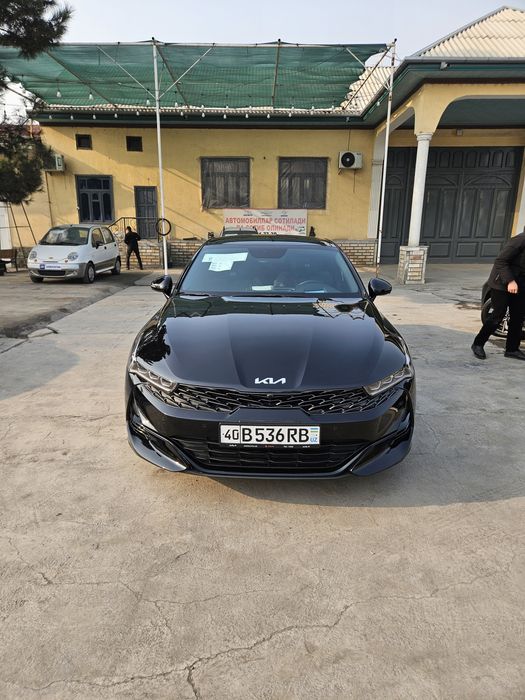 Gtiline+ full pozitsa