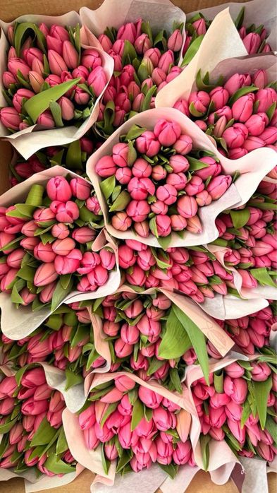 Тюльпаны оптом в розницу/ корпоративные заказы