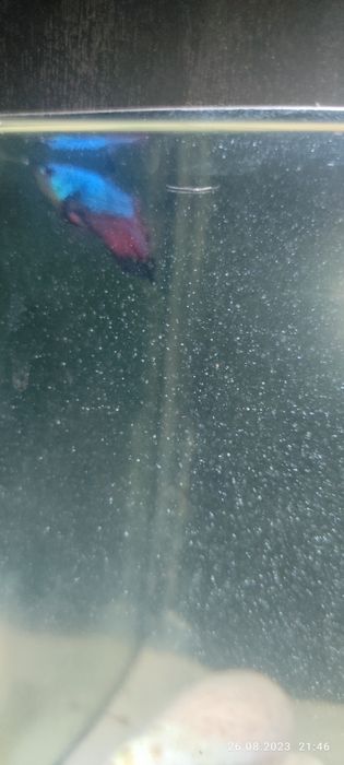 Akvarium 10l tahminan 400.00ming som