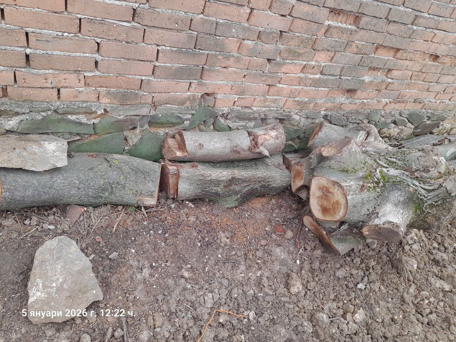 Дърва от орех за материал