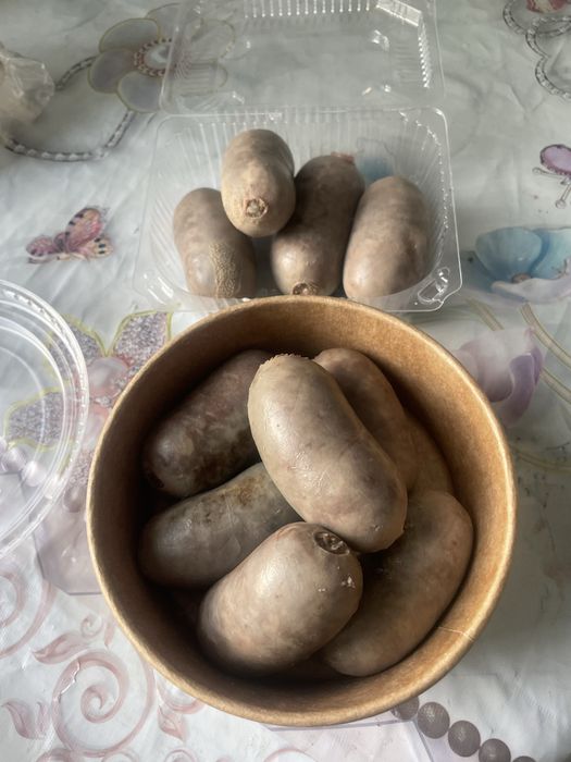 Әсіп. Бұжы. Асип на заказ