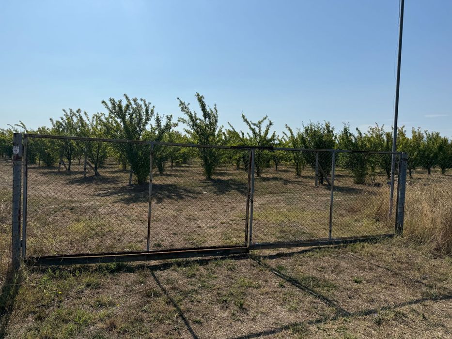 Продавам Овощна градина в с. Цалапица.