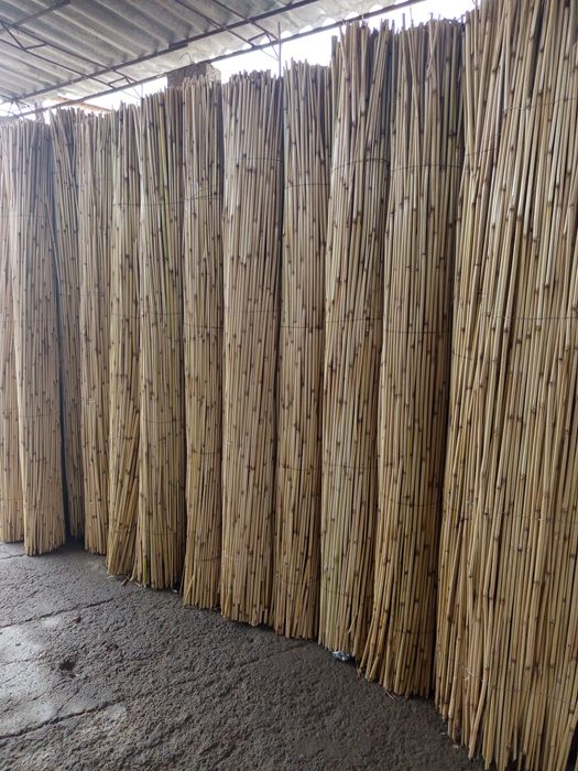 Zabor uchun qamish bor