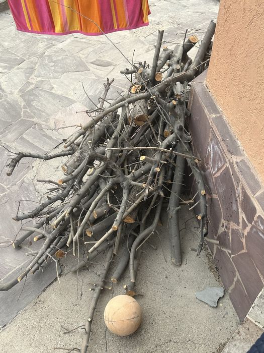 Лес для бани, срубленные деревья