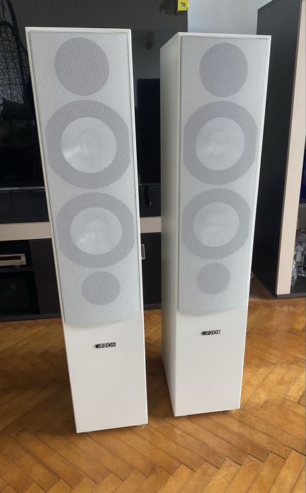 Sistem audio boxe Canton si Reciver STEREO  ONKYO