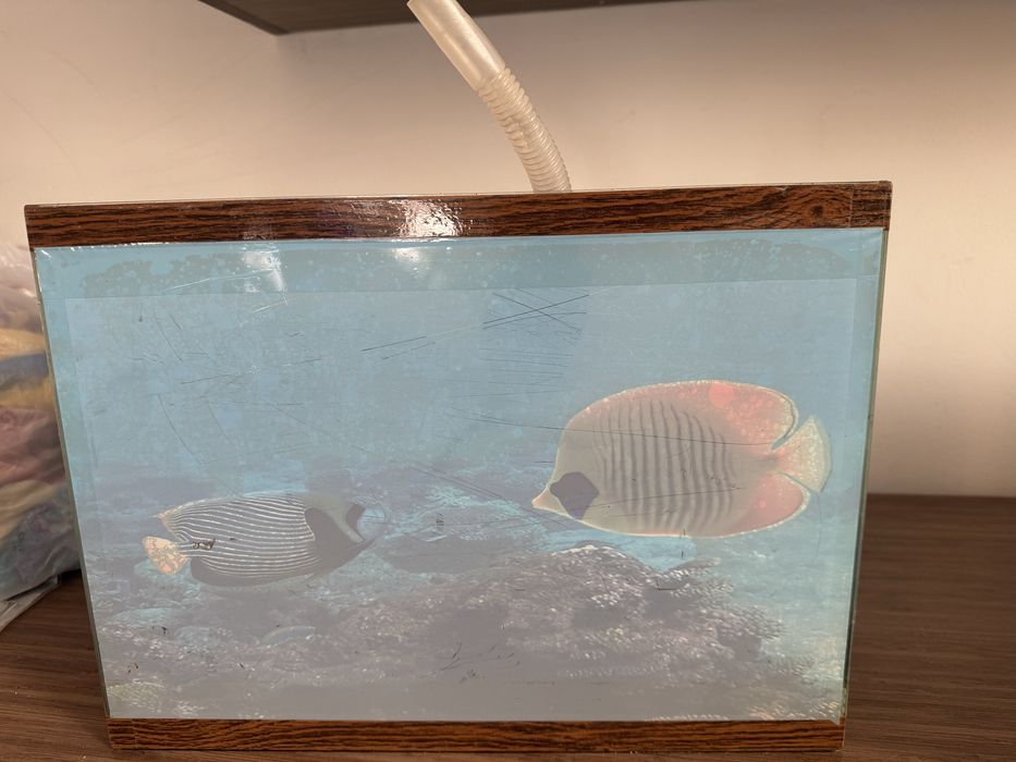 Аквариум без рыб все нудное есть