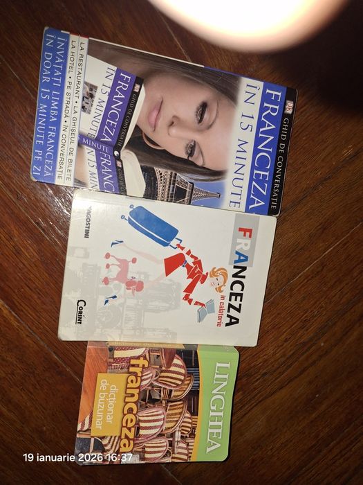 Dictionar roman -francez