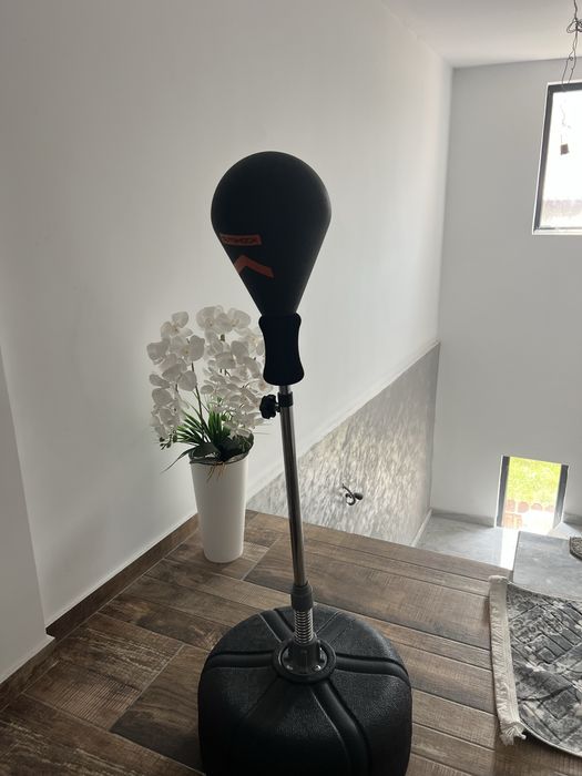 Punching ball (sac de box)