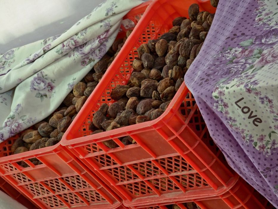 BMW kapotidagi jinsiy aloqa