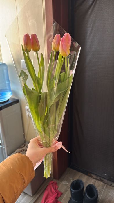 Тюльпаны оптом г.Павлодар